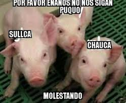 900 Ideas De Memes Memes Profesores Divertidos Memes De Profesores En cochino marrano tenemos disenos muy chidos, y si ninguno te gusta, hacemos tu taza personalizada. memes de