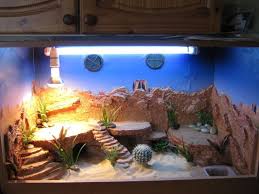 Show Us Your Set Up S Page 7 Reptile Forums Bearded Dragon Bearded Dragon Fu In 2020 Bearded Dragon Terrarium Ideas Bearded Dragon Vivarium Bearded Dragon Habitat