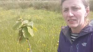 We visited Scoil Eoghain, Moville, Co. Donegal this week to deliver our  "Bee Aware" program and to the land in Meenletterbale where those same  students helped us to plant trees along the riparian zone ...