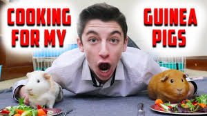 Fluff stuffing with a fork. Cooking For My Pet Guinea Pigs Eitan Bernath Youtube