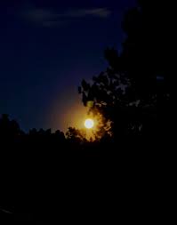 Custer mountain cabins & campground in custer is rated 0.0 of 10 at campground reviews. Custer Mountain Cabins Campground Home Facebook