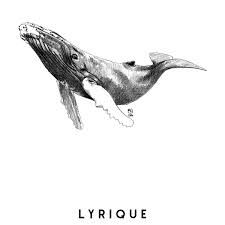 Marie Casas Animal Totem Illustration Pencil Drawing Dessin Crayon Baleine Bosse Lyrique Humpback Whale Whale Drawing Whale Tattoos Whale Illustration