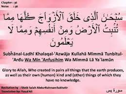 Pada akhir kalimat dari ayat 35 surat yasin sebelumnya, allah swt mengecam tindakan (qs: Sura Yasin 36 Recited By Salah Bukhatir With English Translation And Transliteration Youtube