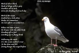 Nature Poems The Seabird Nature Poems Nature Poem Sea Birds Bird Poems