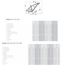 Scott Scale 910 Bike Tech Miami Ft Lauderdale Fl