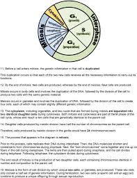 Cytokinesis occurs in mitosis and meiosis for both plant and animal cells. 1 When New Cells Are Formed Through The Process Of Mitosis The Number Of Chromosomes In The New Cells Pdf Free Download