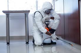 Our services include ants, bed bugs, cockroaches. Pest Control In Kingston Upon Thames Kt1 Call Now 020 8166 9746