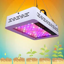 You probably also want to know indoors plants that require low light exposure might benefit from having normal led bulbs as a source of light. Can I Use Normal Led Lights To Grow Plants Indoors Quora