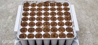 Order your plant starter trays today to start your growing season 200 cell trays are great for vegetables like lettuce and kale, herbs, flowers and other seedlings that can be transplanted early. Grow Your Own Plug Plants