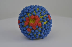 Image result for Influenza