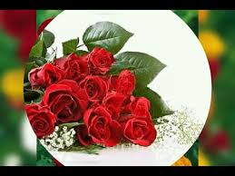 Descărcați imagini uimitoare gratuite despre lume de vis. Imagini Video Cu Flori Frumoase Stirile Tv Youtube