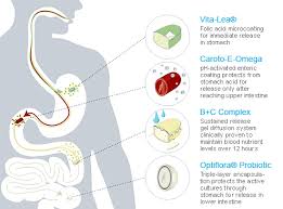 Image result for shaklee difference image