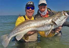 Play nintendo, atari, and colecovision games for free. Targeting Texas Speckled Trout In The Baffin Bay Badlands