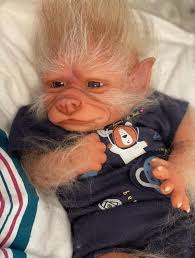 Reborn Baby Werepup With Optional Pacifier & Fangs, Hand Painted, Hand  Rooted Custom