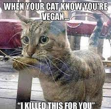 Funny Animal Pictures 25 Pics Lustige Bilder Lustige Tierbilder Tierbilder