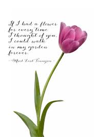 Discover and share tulips quotes. Garden A Romantic Card With A Tulip And A Quote From Alfred Lord Tennyson