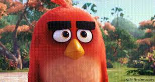 Bird Bird Bird Is The Word Gif Https Encrypted Tbn0 Gstatic Com Images Q Tbn 3aand9gcroppanrahylo4gictd2n4ec9sm0rf8ah4p4g Usqp Cau