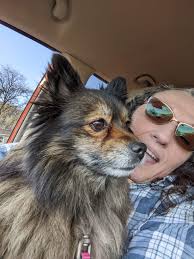 Kylo's daycare 4th party celebration