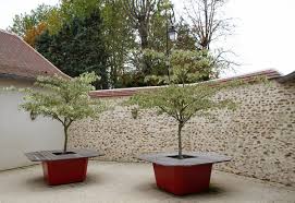 Elles ne tolèrent pas les grands froids et vous devriez les déplacer à l'intérieur de votre. Bac A Arbre Et Table De Jardin En Bois Image In By Atelier So Green