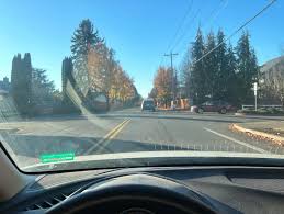 Anyone else's mom demand pictures but then only ever takes the pictures so  she's not in any of them?