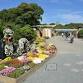 Akashi Park 97th Chrysanthemum Exhibition | Akashi event image