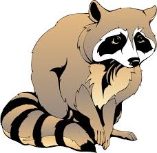 Free Raccoon Pic, Download Free Clip Art, Free Clip Art on Clipart ...