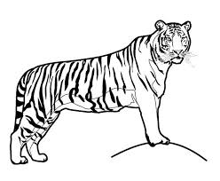 My kids most of all like to color animals. 70 Animal Colouring Pages Free Download Print Free Premium Templates