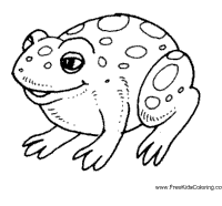 Frog and toad are friends, frog and toad together, days with frog and toad, frog and toad all year (i can read level 2) arnold lobel. Frog And Toad Coloring Pages Surfnetkids