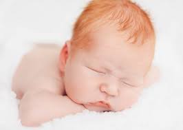Will I Have Ginger Babies Ginger Parrot