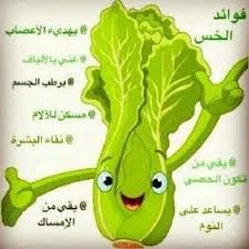 فوائد الخس Health Facts Food Health Fitness Nutrition Health And Wellbeing