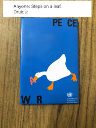 Druid Life Dnd Rpg Tabletop Geek Miniatures Dungeonsanddragons Tabletoprpg Boardgames Dnd5e Dnd Funny Dungeons And Dragons Memes Dragon Memes