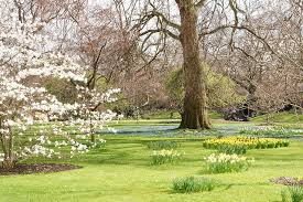 The Garden At Clarence House Clarence House Royal Residence Clarence