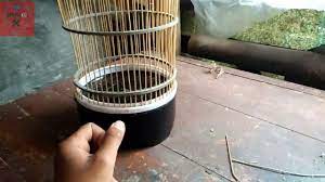 Caranya sangat mudah, anda hanya perlu memasang sangkar burung pada pohon yang rindang, kemudian anda bisa memberi satu atau dua pasang burung di dalam sangkar. Pertamakali Bikin Sangkar Bulat Youtube