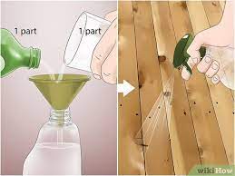 Earwigs are home and garden pests that can eat through your plants, so controlling earwigs is essential to maintaining a healthy garden. How To Get Rid Of Earwigs 12 Steps With Pictures Wikihow