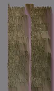 Image result for Eriospermum andongense