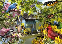 Maybe you would like to learn more about one of these? Time For Lunch Birds Ravensburger 1000 Piece Jigsaw Puzzle By Artist Lori Schory 19 00 Ravensburger Puzzle Ravensburger Puzzle For Adults