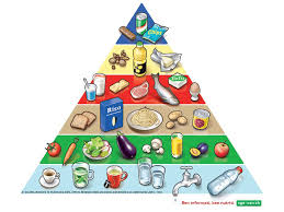 Nella precedente versione numero di ottobre del quaderno, infatti, la rappresentazione suggeriva di mangiare più carboidrati che verdura. Piramide Alimentare Svizzera