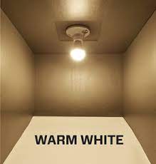 Have the best of all worlds with colour switching downlights! Warm White Or Cool White Which White Should You Choose