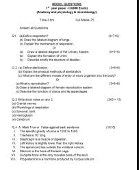 Gnm Question Paper Download Previous Years Model Paper Pdf Here