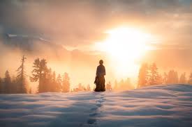 Check out best 43 wintersun wallpapers uploaded by our awesome community. Elizabeth Gadd Snow Winter Sun Sunset Yellow Trees Mountains Sky Clouds Sunrise Hd Wallpapers Desktop And Mobile Images Photos