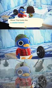 If you're more dedicated therefore, i'l d at last if you need to secure new and the latest graphic related to animal crossing funny memes, please follow us on google plus or bookmark the. Animal Crossing Memes