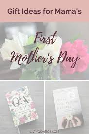 Learn how to make your own tea blend from green tea, ginger, and lemon or black tea, cardamom, and orange. First Mothers Day Gift Ideas From Baby Design Corral