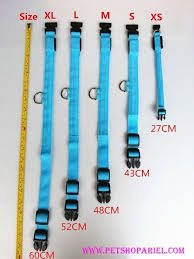 dog collar size chart cm google search dog collar dogs