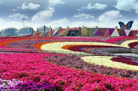 Check spelling or type a new query. The World S Largest Flower Garden In The Middle Of A Desert