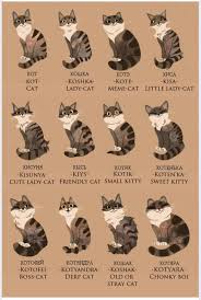 You know cats make amazing pets for plenty of reasons, but sometimes it can be hard to put into words exactly why they're so great. Russian Words To Describe Cats Coolguides