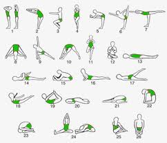 Hatha Yoga Yoga Of Postures Hatha Yoga Hatha Bikram Yoga Poses