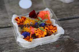 Wild edible plants of ontario this guide covers a number of edible plants in ontario, canada including the toronto, ottawa and hamilton areas and the georgian bay islands, pukaskwa, bruce peninsula, point pelee, and st. Edible Flowers More Than Just A Pretty Garnish They Taste Good Too Cbc News