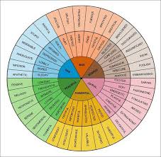 Wheel Of Emotions Google Search Emotions Wheel Feelings