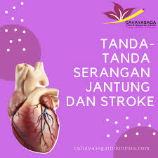Oleh karena itu penting untuk memahaminya secara tepat secara keseluruhan. Detail Artikel Cahaya Saga Cahaya Saga Indonesia