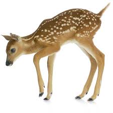 Maybe you would like to learn more about one of these? Muursticker Hertje Klein Baby Hert Schattig Prachtige Dieren